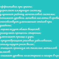 Mоринга (Moringa oleifera)